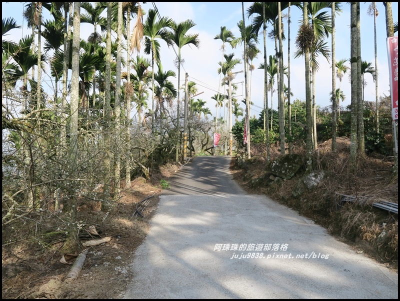 信義邱班長梅園1.JPG 信義邱班長梅園1.JPG