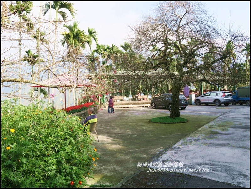 信義邱班長梅園4.JPG 信義邱班長梅園4.JPG