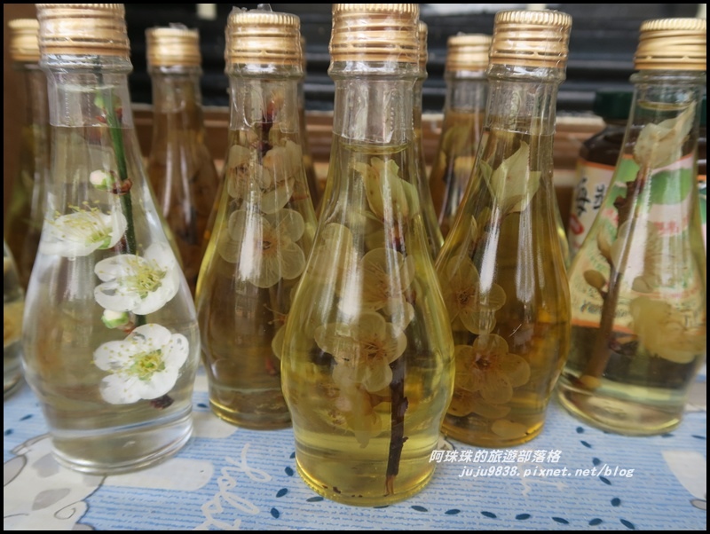 信義邱班長梅園8.JPG 信義邱班長梅園8.JPG