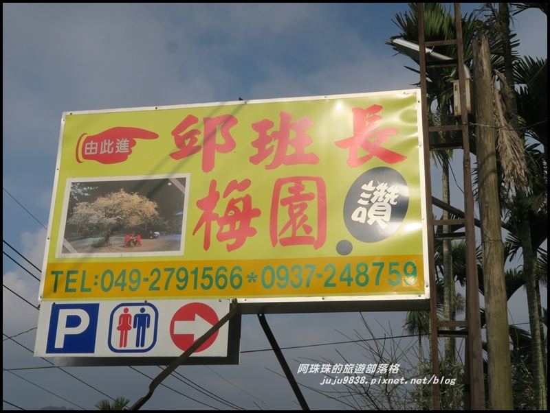 信義邱班長梅園9.JPG 信義邱班長梅園9.JPG