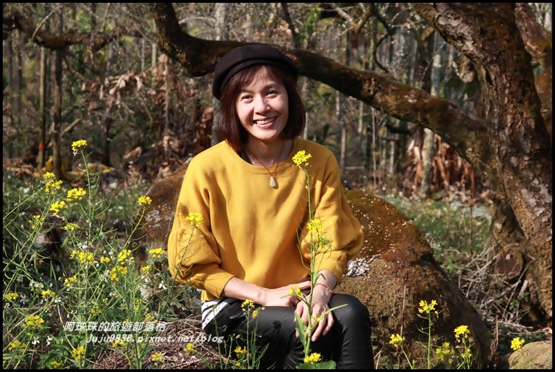 信義邱班長梅園11.JPG 信義邱班長梅園11.JPG