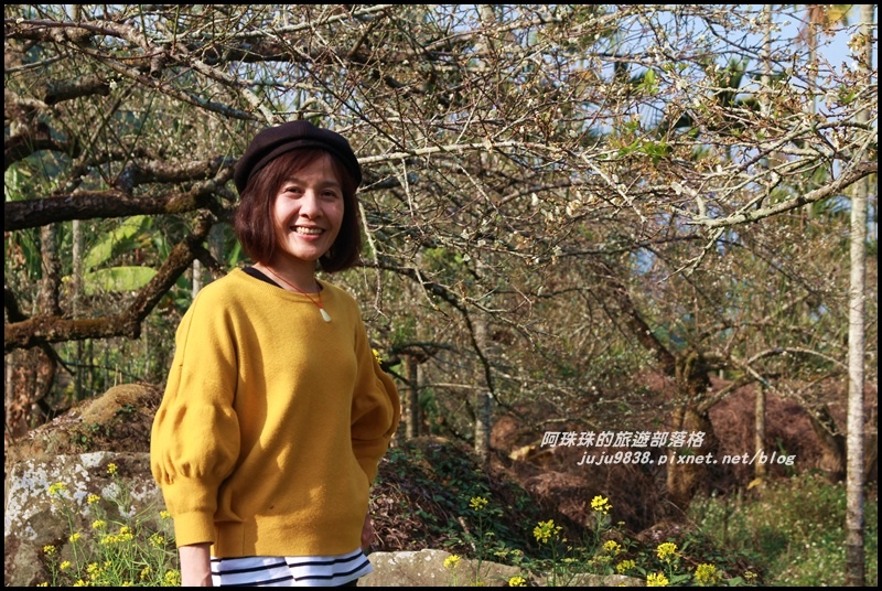 信義邱班長梅園12.JPG 信義邱班長梅園12.JPG