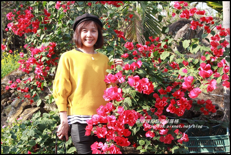 信義邱班長梅園13.JPG 信義邱班長梅園13.JPG