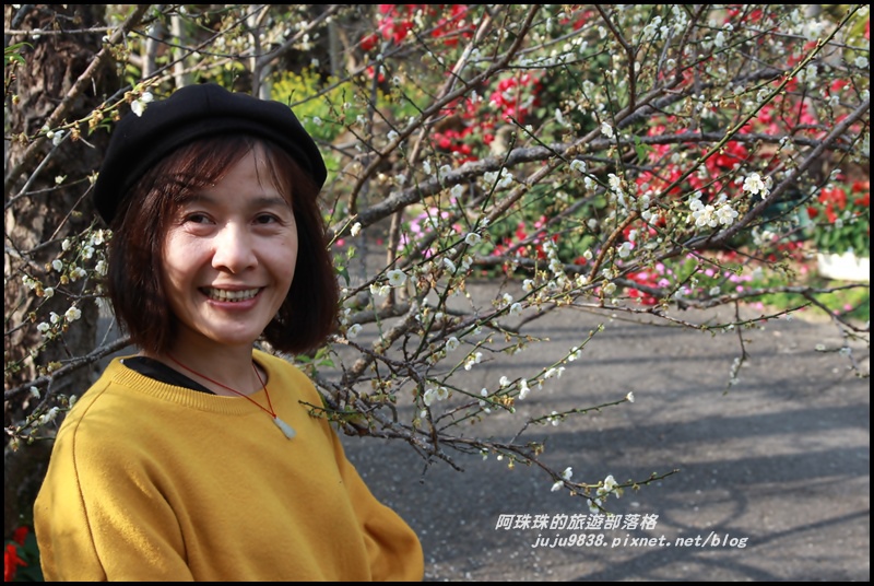 信義邱班長梅園14.JPG 信義邱班長梅園14.JPG