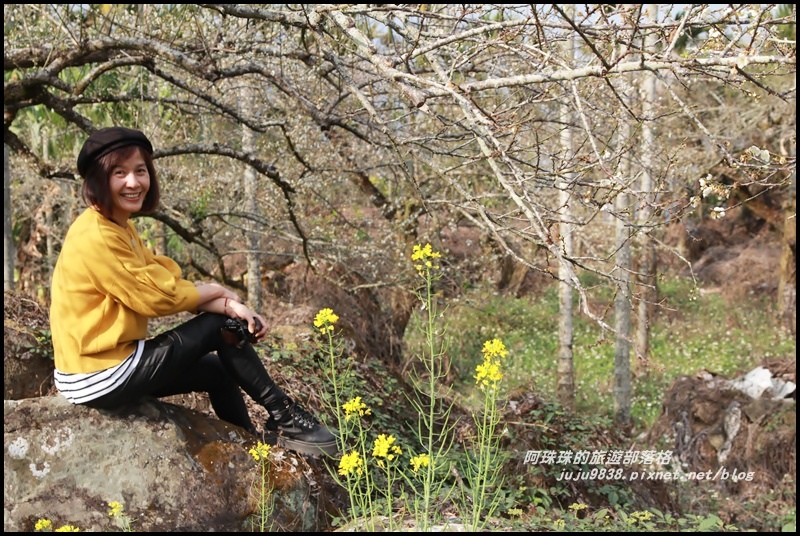 信義邱班長梅園20.JPG 信義邱班長梅園20.JPG