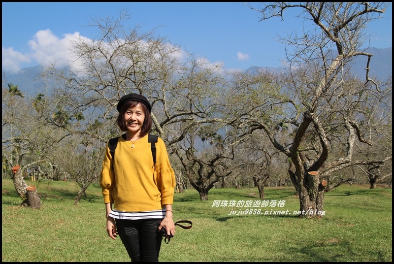 信義柳家梅園1.JPG 信義柳家梅園1.JPG