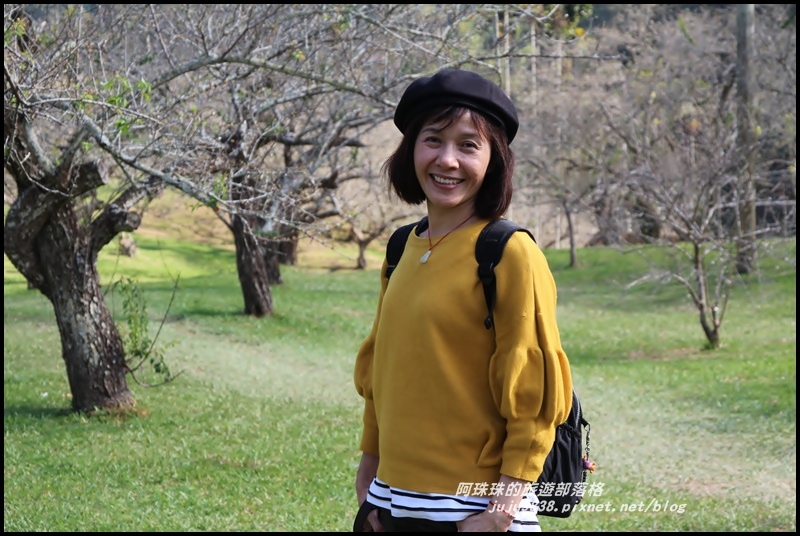 信義柳家梅園5.JPG 信義柳家梅園5.JPG