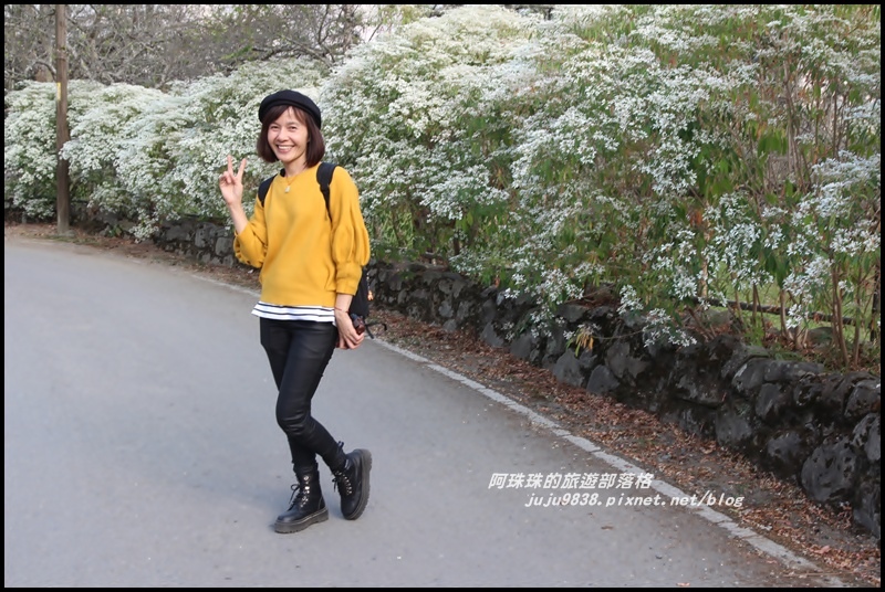 信義柳家梅園13.JPG 信義柳家梅園13.JPG