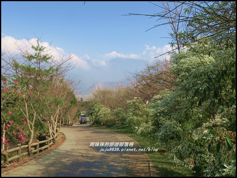 信義柳家梅園24.JPG 信義柳家梅園24.JPG