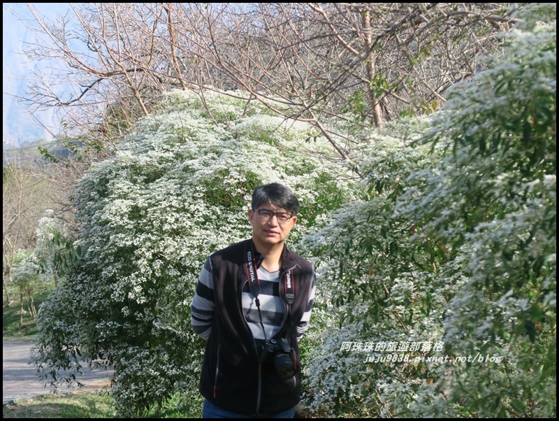 信義柳家梅園23.JPG 信義柳家梅園23.JPG