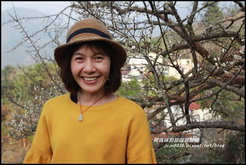 信義烏松崙賞梅1.JPG 信義烏松崙賞梅1.JPG