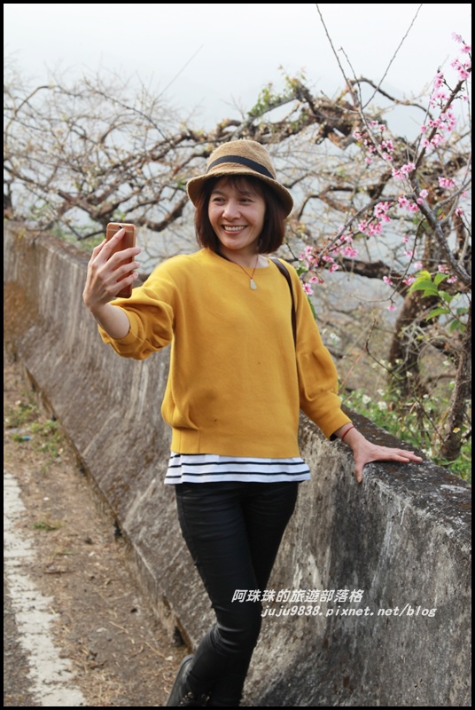 信義烏松崙賞梅8.JPG 信義烏松崙賞梅8.JPG