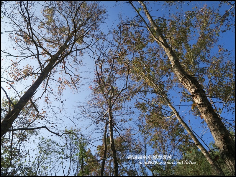 日月潭42.JPG 日月潭42.JPG