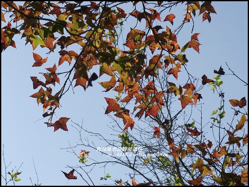 日月潭43.JPG 日月潭43.JPG