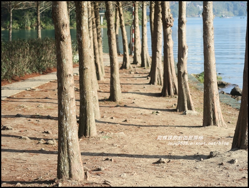 日月潭51.JPG 日月潭51.JPG