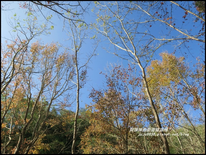 日月潭56.JPG 日月潭56.JPG