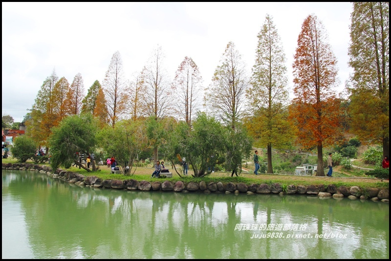 六塘落羽松25.JPG 六塘落羽松25.JPG