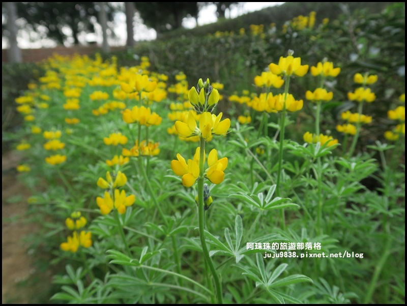 大北坑6.JPG 大北坑6.JPG