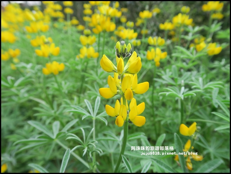 大北坑5.JPG 大北坑5.JPG