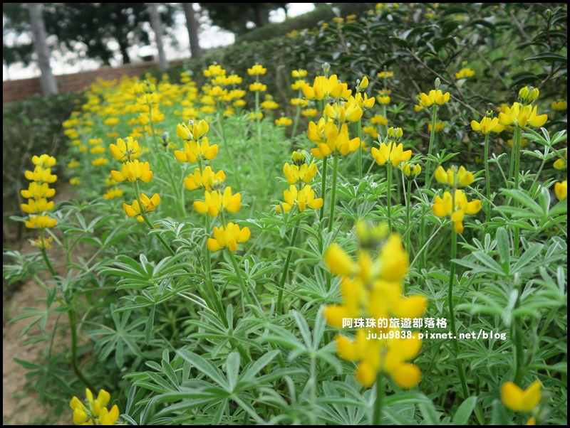 大北坑4.JPG 大北坑4.JPG