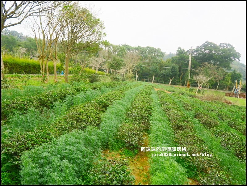 大北坑8.JPG 大北坑8.JPG