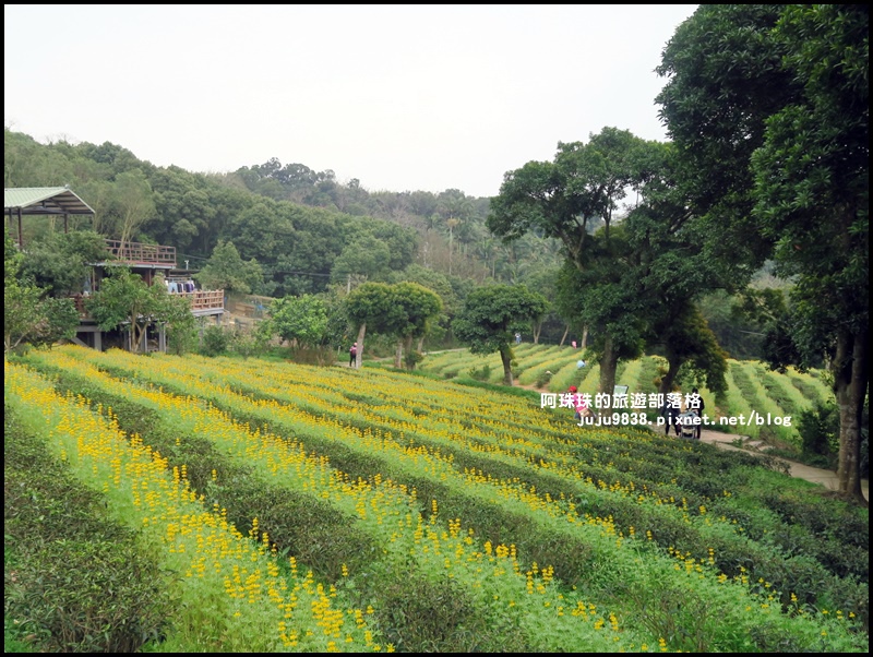 大北坑12.JPG 大北坑12.JPG