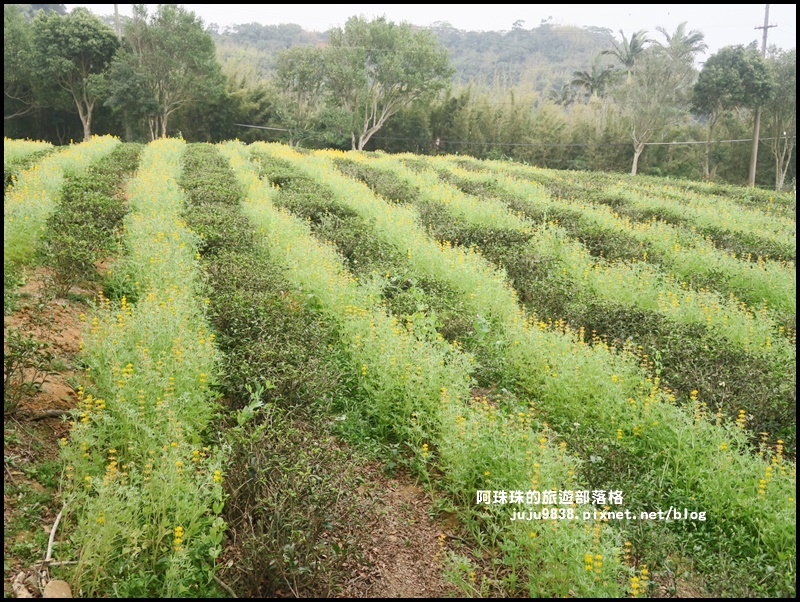 大北坑10.JPG 大北坑10.JPG