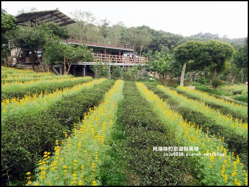 大北坑11.JPG 大北坑11.JPG