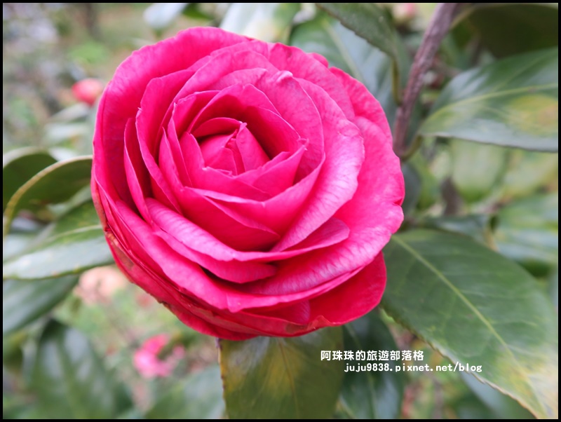 大北坑13.JPG 大北坑13.JPG