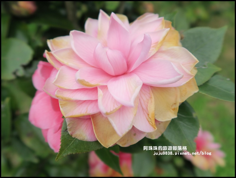 大北坑14.JPG 大北坑14.JPG