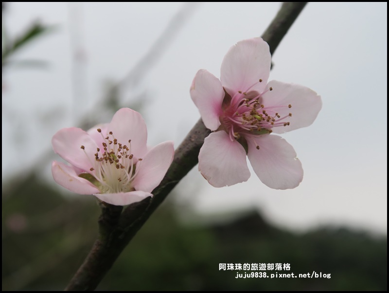 大北坑16.JPG 大北坑16.JPG