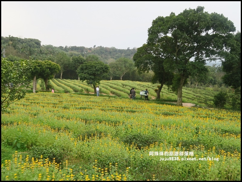 大北坑15.JPG 大北坑15.JPG
