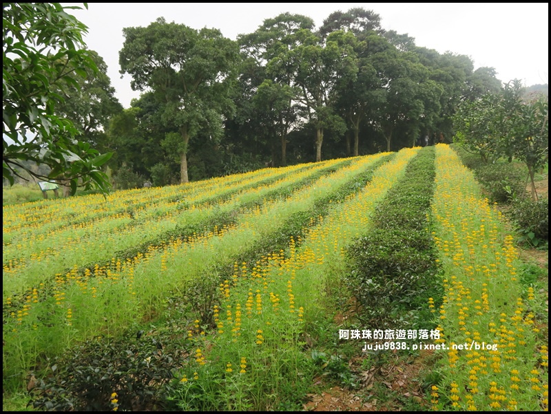 大北坑17.JPG 大北坑17.JPG