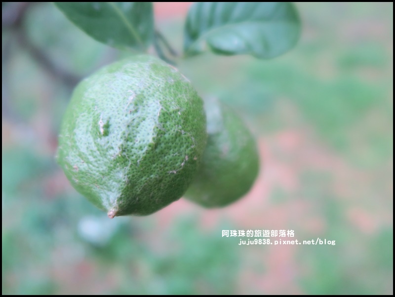 大北坑19.JPG 大北坑19.JPG