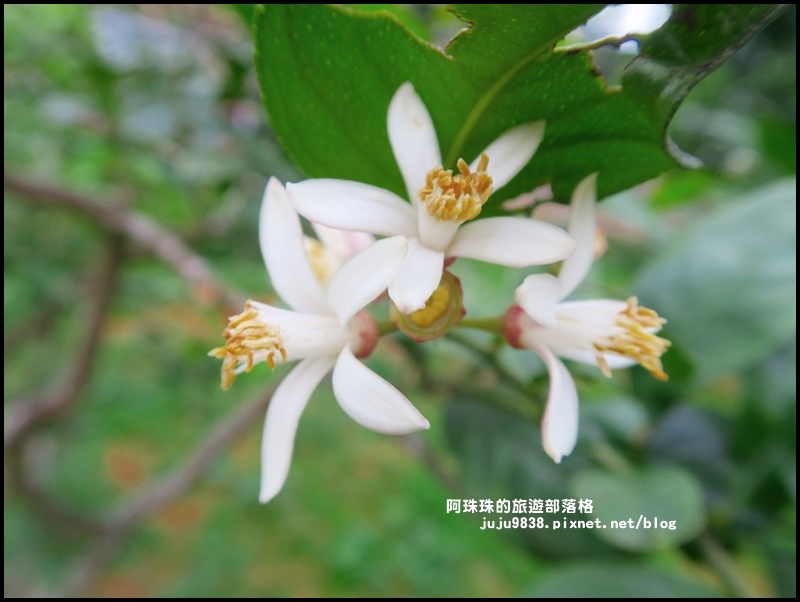 大北坑18.JPG 大北坑18.JPG