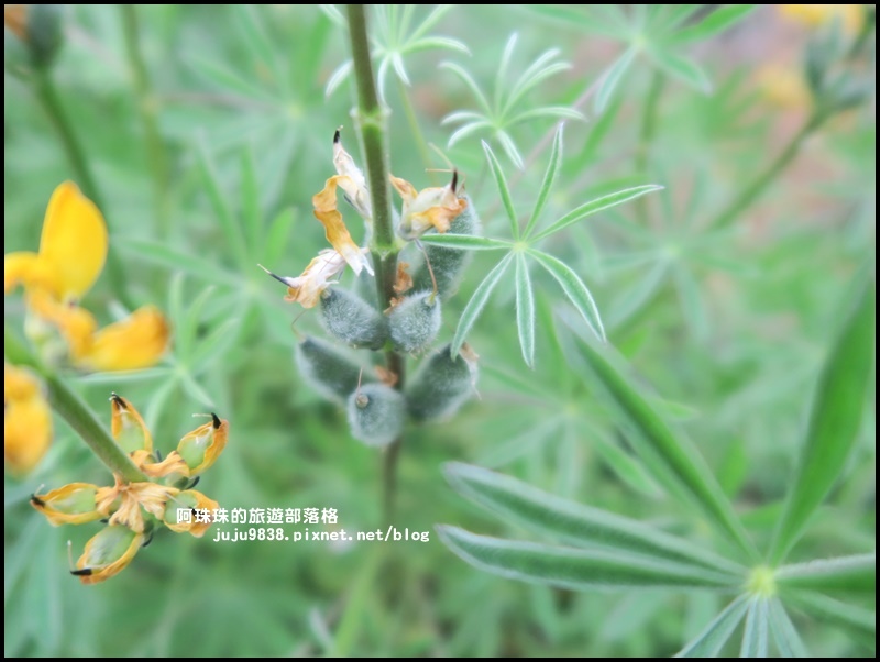 大北坑21.JPG 大北坑21.JPG