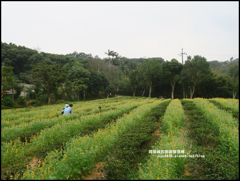 大北坑22.JPG 大北坑22.JPG