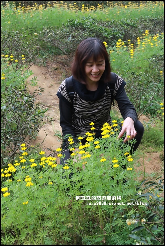 大北坑33.JPG 大北坑33.JPG