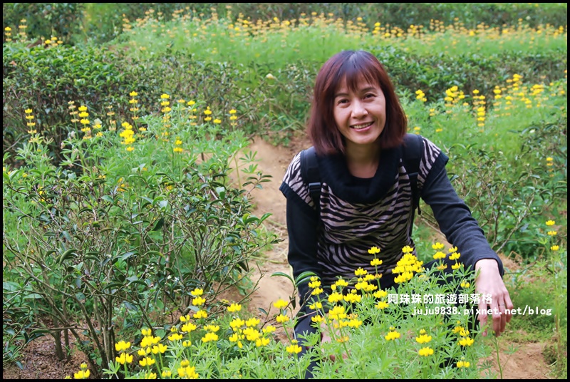 大北坑34.JPG 大北坑34.JPG