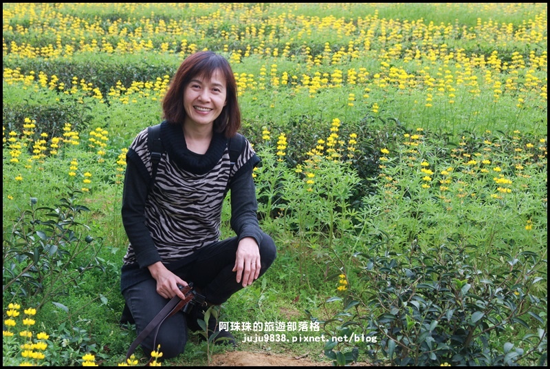 大北坑37.JPG 大北坑37.JPG