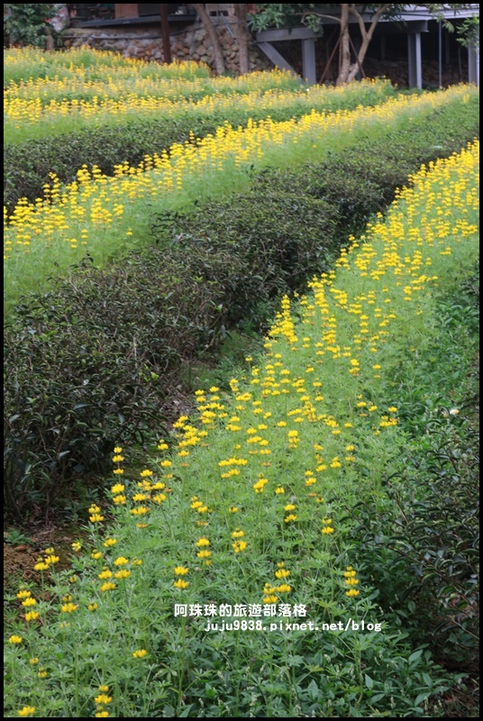 大北坑38.JPG 大北坑38.JPG