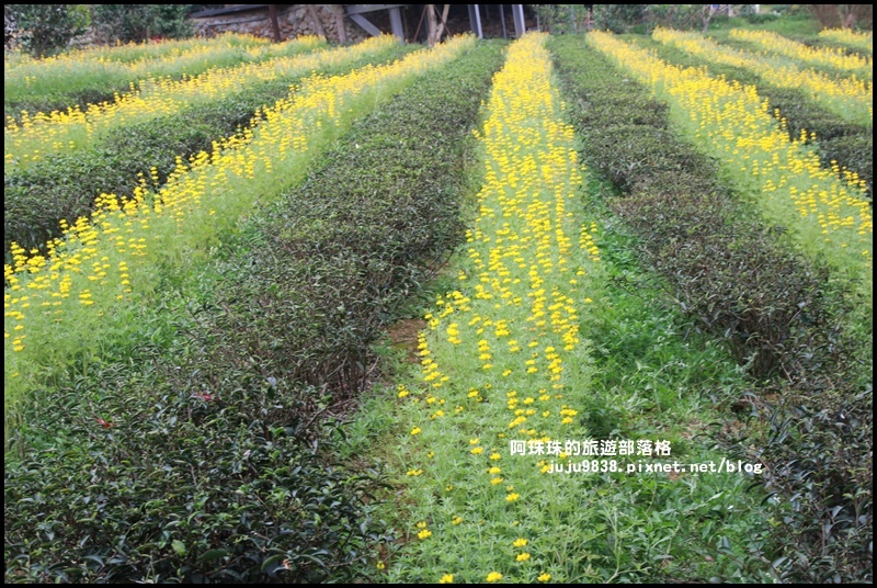 大北坑39.JPG 大北坑39.JPG