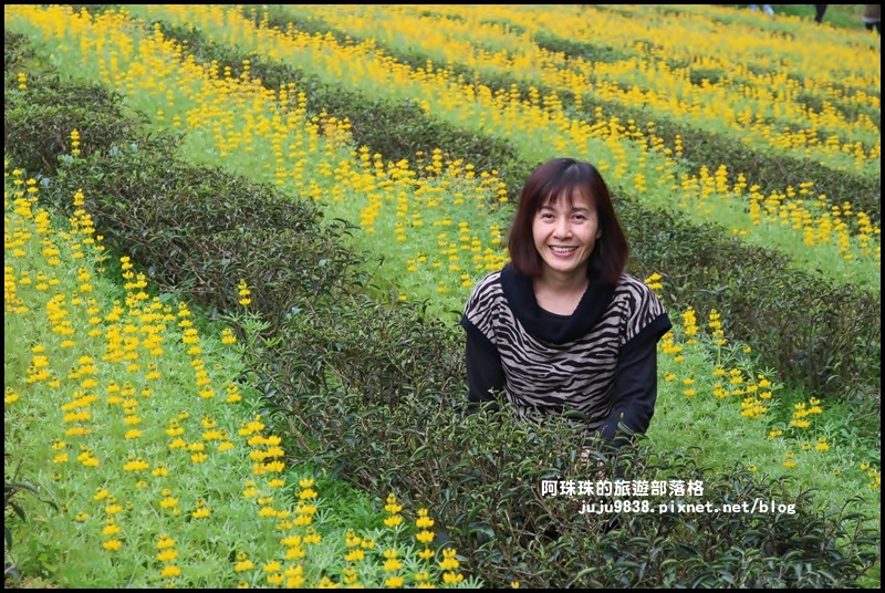 大北坑40.JPG 大北坑40.JPG