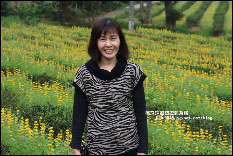 大北坑41.JPG 大北坑41.JPG