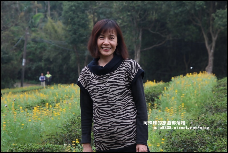 大北坑43.JPG 大北坑43.JPG