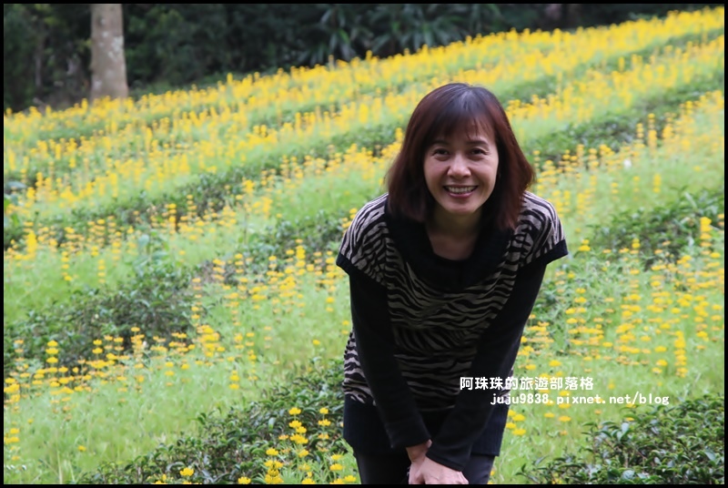 大北坑42.JPG 大北坑42.JPG