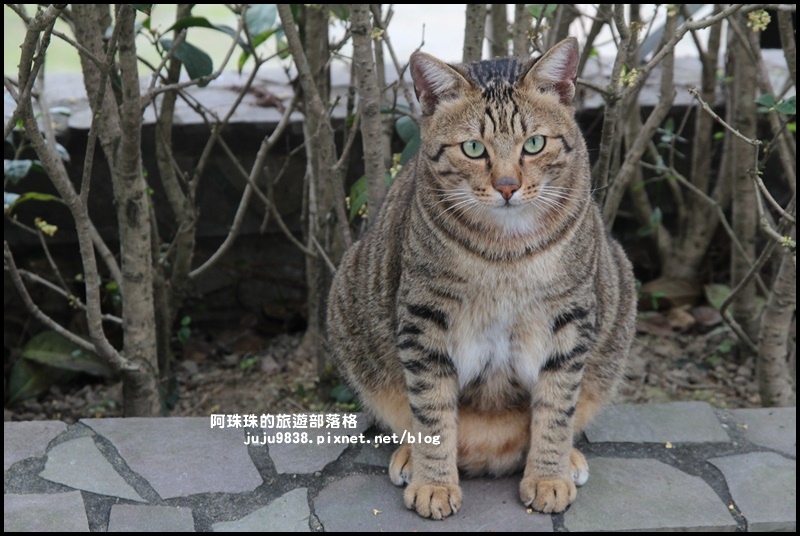 大北坑47.JPG 大北坑47.JPG