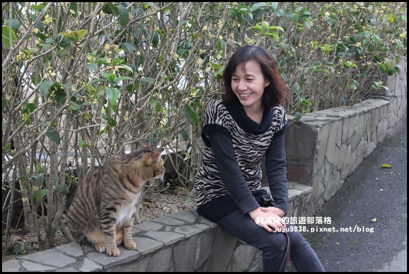 大北坑49.JPG 大北坑49.JPG