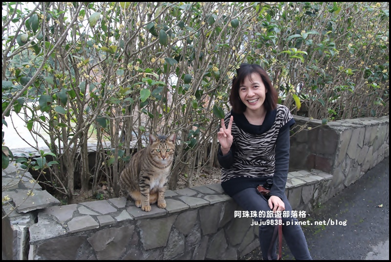 大北坑50.JPG 大北坑50.JPG