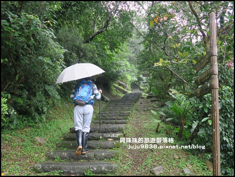 五峰旗瀑布3.JPG 五峰旗瀑布3.JPG